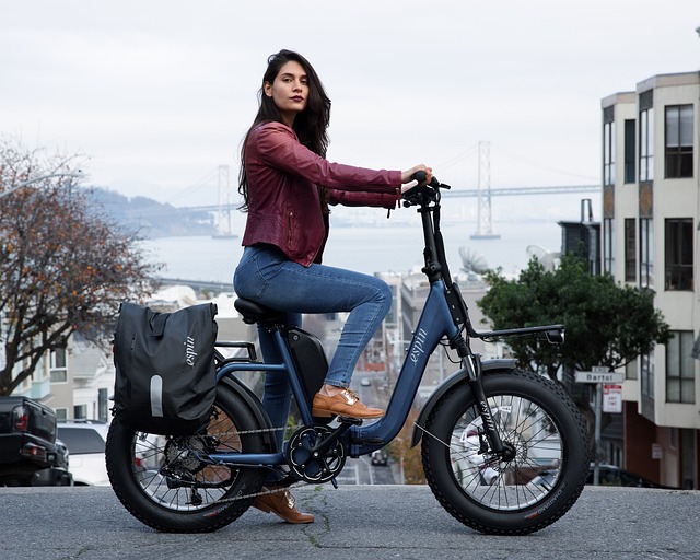 2025年版！人気電動自転車メーカー比較とおすすめモデルTOP5